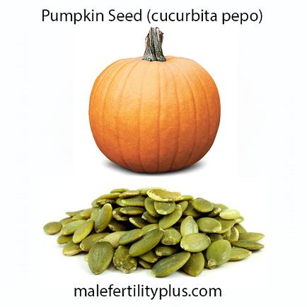 Pumpkin seed helps by thinning the sperm membrane