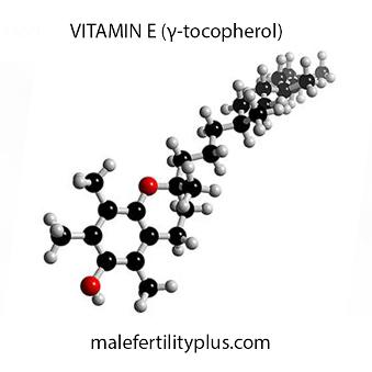 Erectile function may be helped by using forms of Vitamin E