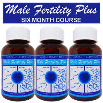 male fertility plus 6 month course