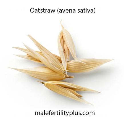 Oatstraw avena sativa fertility enhancement 