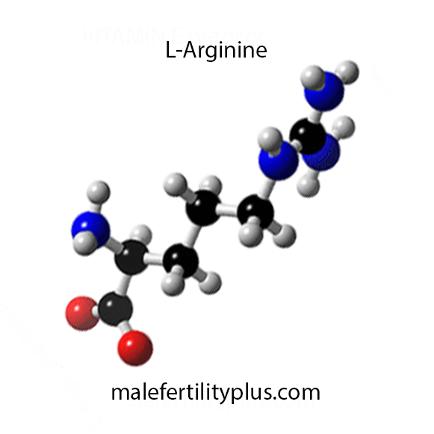 l arginine improves fertility