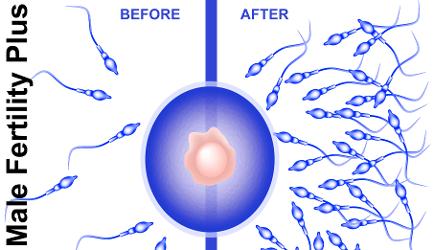 male fertility plus