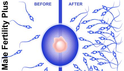 male fertility plus 