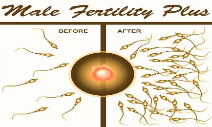 male_fertility_plus